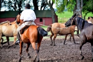 Buenos Aires: rancho Santa Susana, asado y espectáculos