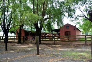 Buenos Aires: Santa Susana Ranch-dagstur, BBQ og show