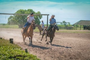Buenos Aires: Susana Ranch Day Tour, BBQ & Shows: Santa Susana Ranch Day Tour, BBQ & Shows