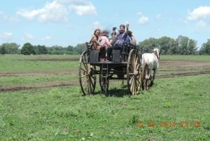 Buenos Aires: Susana Ranch Day Tour, BBQ & Shows: Santa Susana Ranch Day Tour, BBQ & Shows