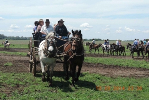 Buenos Aires: Susana Ranch Day Tour, BBQ & Shows: Santa Susana Ranch Day Tour, BBQ & Shows