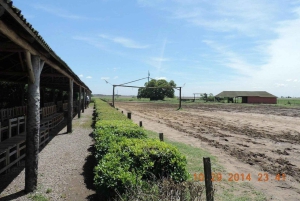 Buenos Aires: Susana Ranch Day Tour, BBQ & Shows: Santa Susana Ranch Day Tour, BBQ & Shows