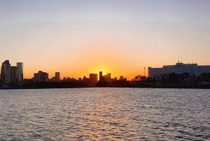 Buenos Aires: zonsondergang aan de Río de la Plata met boottocht en open bar