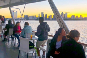 Buenos Aires: crociera al tramonto sul Río de la Plata con open bar