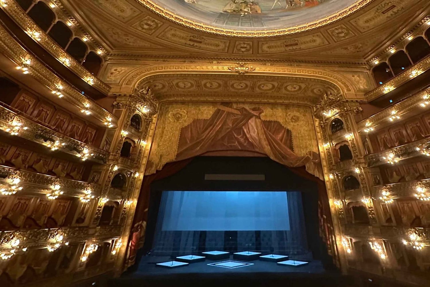 Buenos Aires : billet d'entrée et visite guidée du Teatro Colón