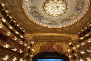 Buenos Aires: Inngangsbillett og guidet tur til Teatro Colón