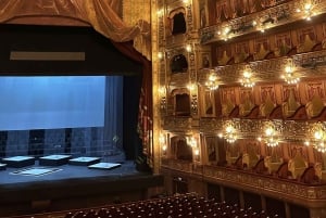 Buenos Aires: Inngangsbillett og guidet tur til Teatro Colón