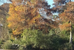 Buenos Aires: 'Biljett'- 2hs av Navigation Premium till Tigre