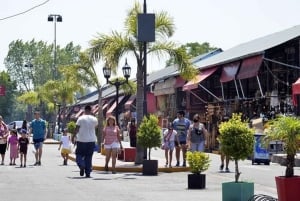 Buenos Aires: Tigre Delta og Puerto de Frutos-tur