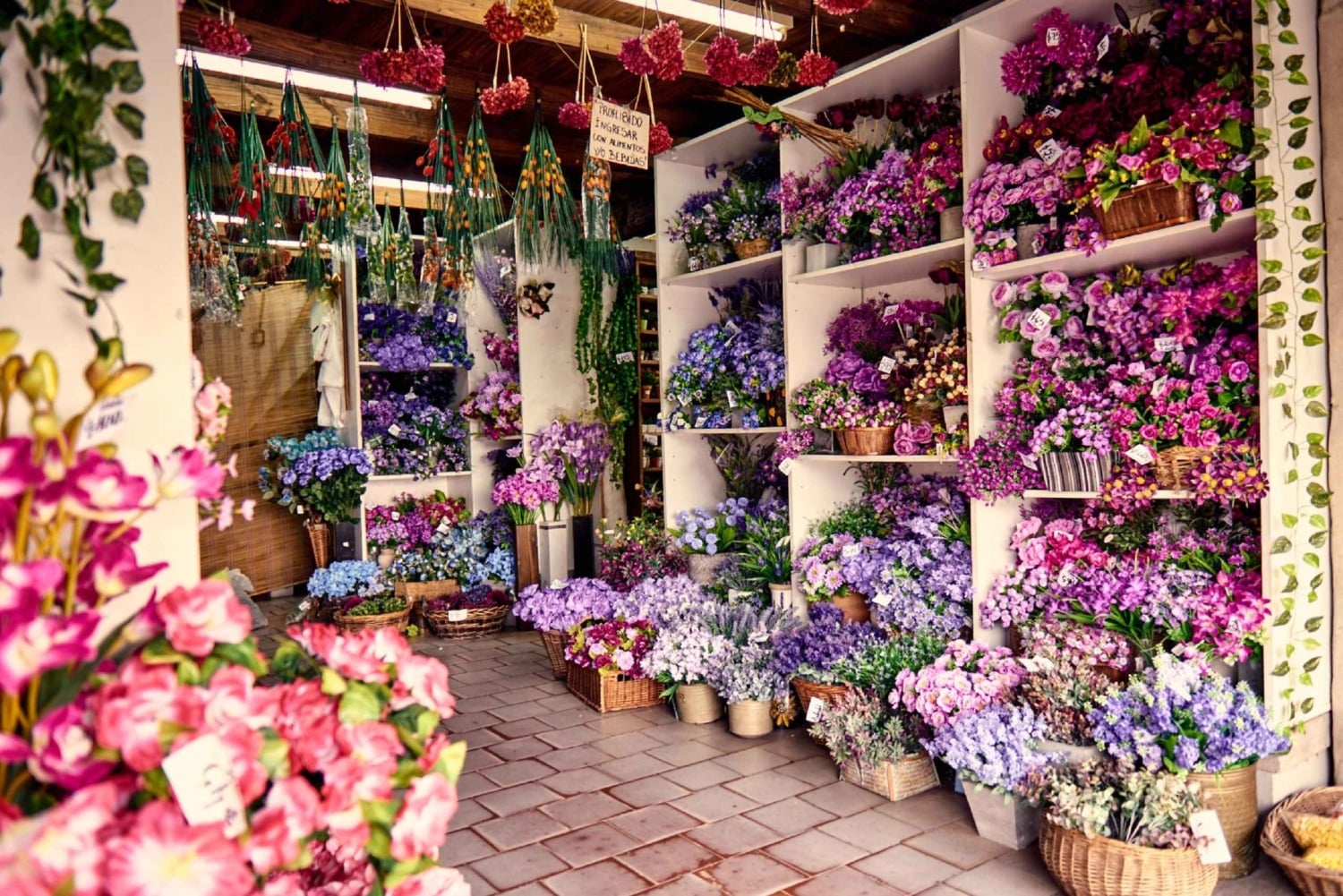 Buenos Aires: Tigre Delta Bootstour ab Kreuzfahrtterminal