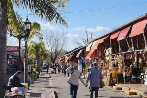 Buenos Aires: Tigre Delta Half-Day Tour with Navigation