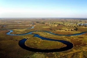 Buenos Aires: Tigre Delta Premium omvisning med båt