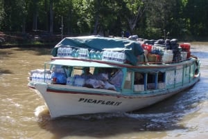 Buenos Aires: Wycieczka po delcie Tigre i wizyta w Puerto de Frutos