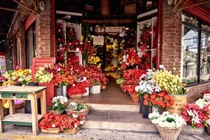 Buenos Aires: Tigre Delta Trip en Bezoek aan Puerto de Frutos