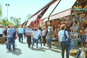 Buenos Aires: Tigre Delta Trip en Bezoek aan Puerto de Frutos