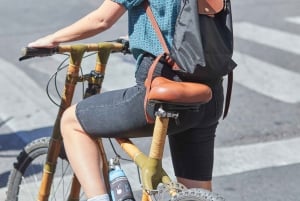 Buenos Aires: Tigre-floden cykel- og kajaktur med frokost