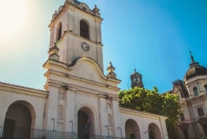 Буэнос-Айрес: Пешеходная экскурсия по площади Мая