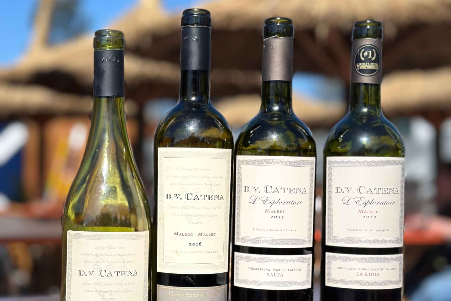 Buenos Aires: Vin- og musikkopplevelse av DV. Catena Zapata