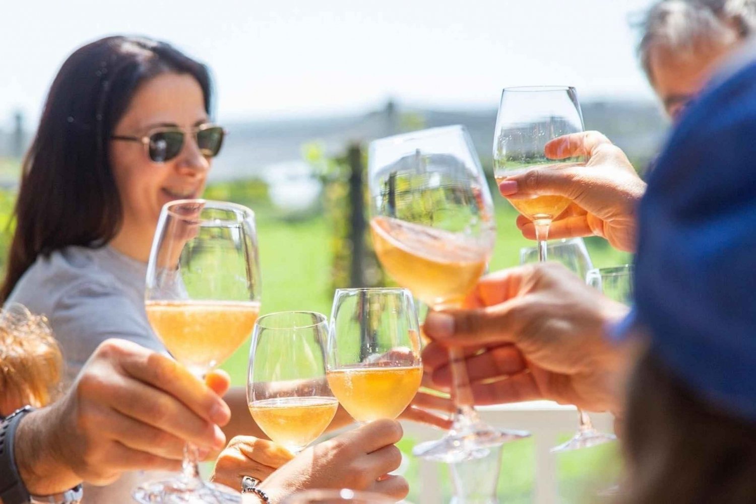 Buenos Aires: harmonização de vinho e comida e almoço na vinícola Gamboa (com transporte)