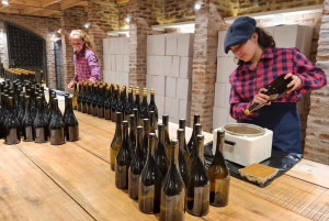 Buenos Aires: Maridaje y Almuerzo en Viñedo Gamboa (con Transporte)