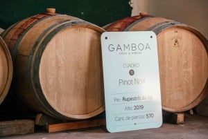 Buenos Aires: Wine Tasting and Lunch at Bodega Gamboa