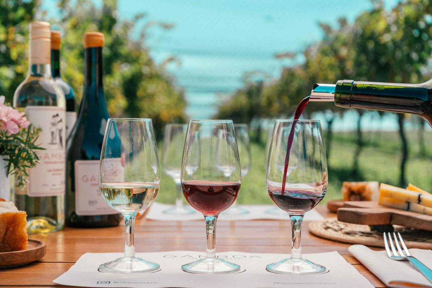 Buenos Aires: Viininmaistelu ja lounas Gamboa Vineyardilla.