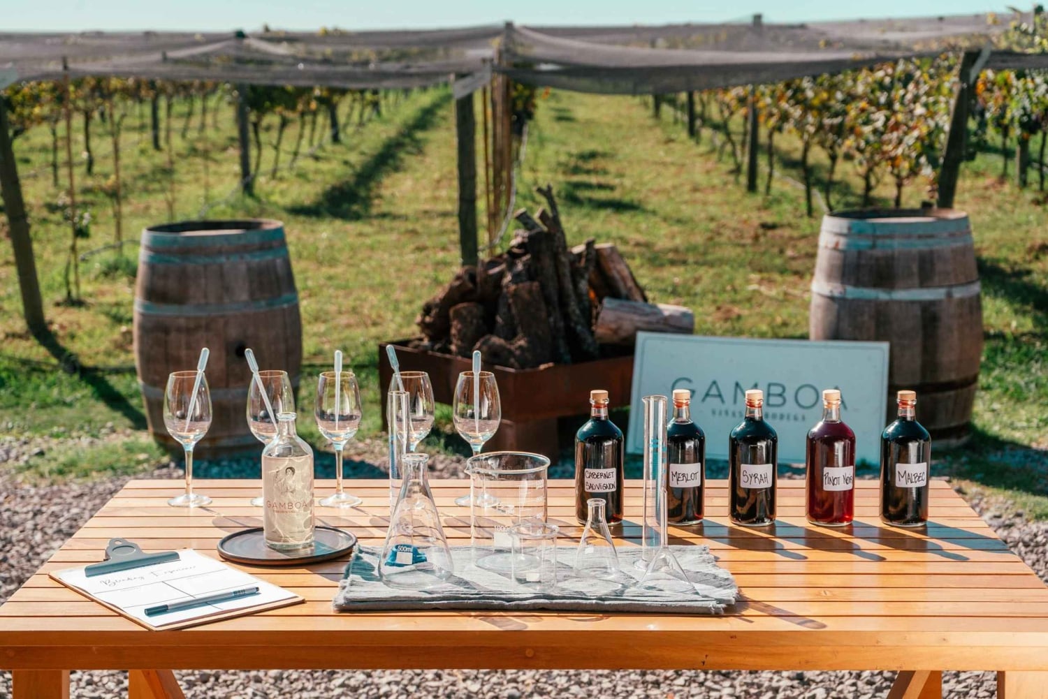 Buenos Aires: Viininmaistelu ja lounas Gamboa Vineyardilla.