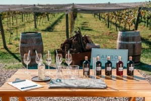 Buenos Aires: Cata de vinos y almuerzo en Viña Gamboa