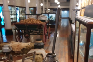 Buenos Aires: Yerba Mate Workshop with Tasting