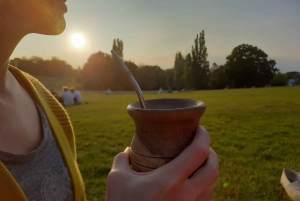 Buenos Aires: Yerba Mate Workshop with Tasting