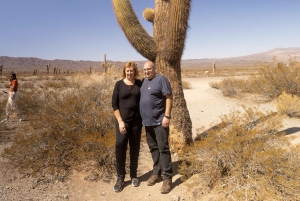 Cachi: Ruta Escénica y Experiencia Local desde Salta