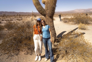 Cachi: Ruta Escénica y Experiencia Local desde Salta