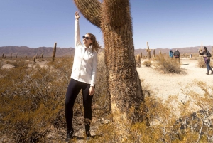 Cachi: Ruta Escénica y Experiencia Local desde Salta