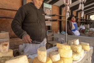 Cachi: Scenic Route and Local Experience from Salta