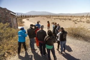 Cachi: Scenic Route and Local Experience from Salta