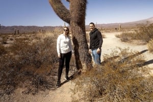 Cachi: Scenic Route and Local Experience from Salta