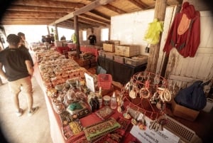 Cachi: Scenic Route and Local Experience from Salta