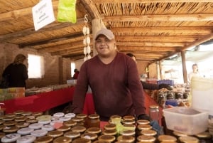 Cachi: Scenic Route and Local Experience from Salta