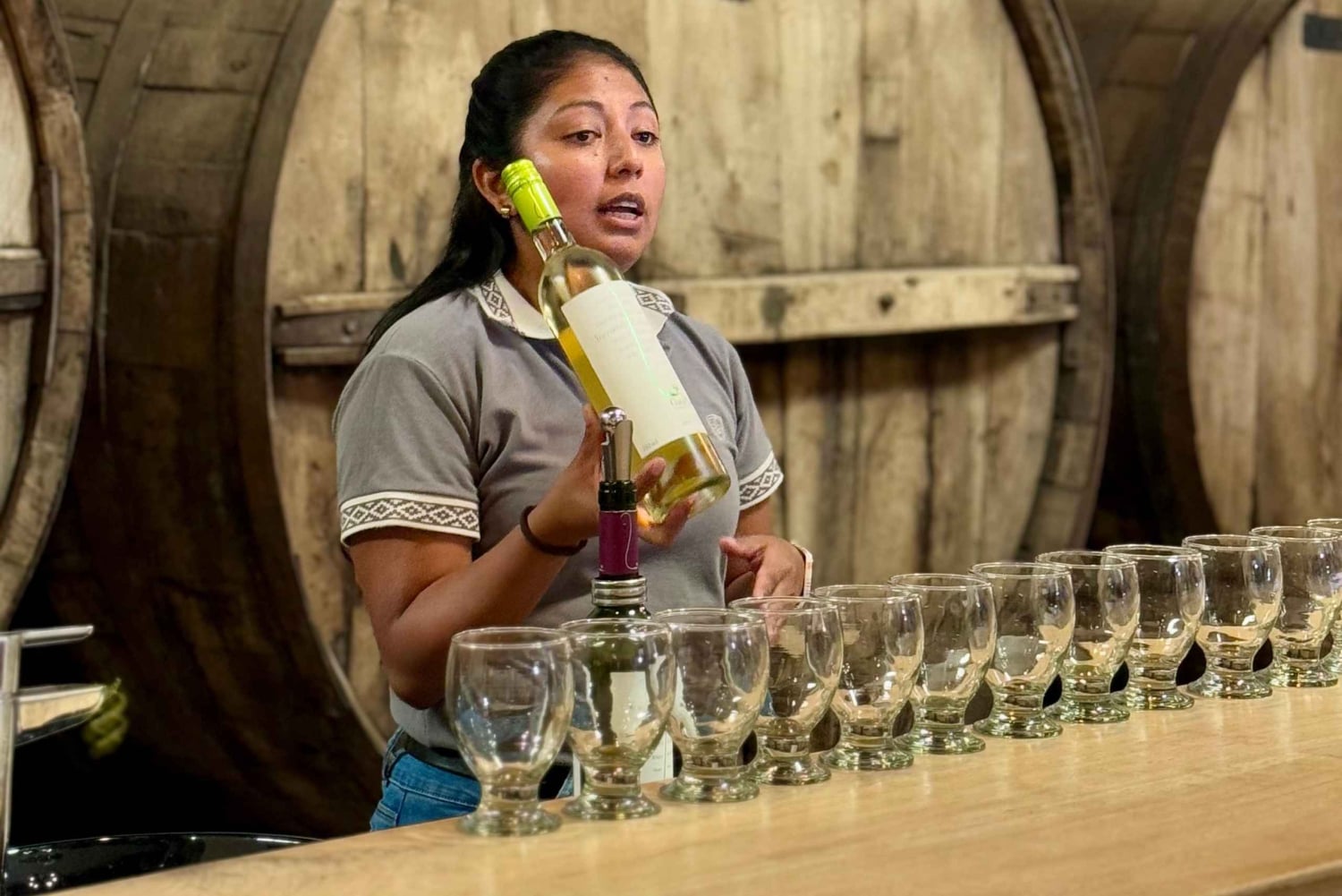 Cafayate: Heldagstur til vingårde og vinprøve