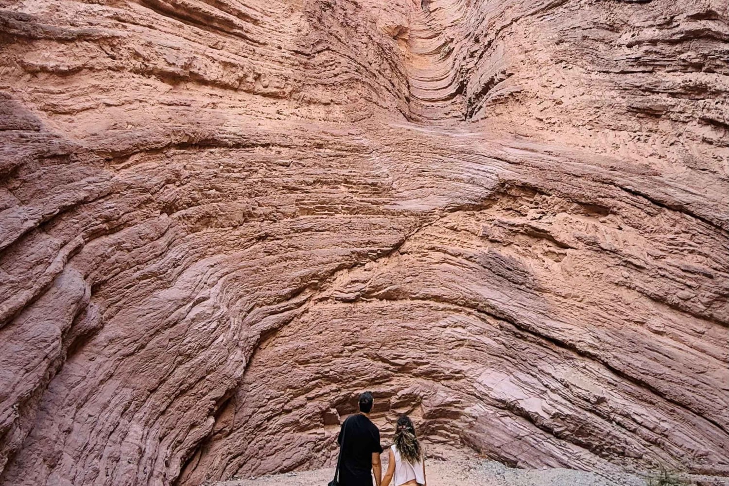 Cafayate: Heldagstur til vingårde og vinprøve