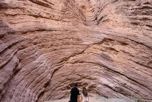 Cafayate: Full-day tour of wineries and wine tasting