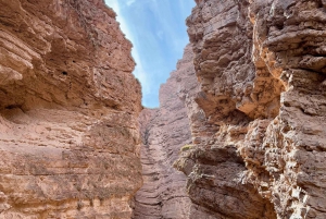 Cafayate: Full-day tour of wineries and wine tasting