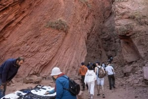 Cafayate: Full-day tour of wineries and wine tasting