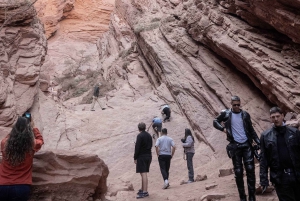 Cafayate: Full-day tour of wineries and wine tasting