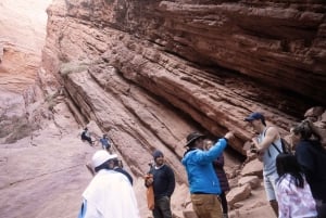 Cafayate: Full-day tour of wineries and wine tasting