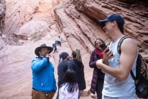 Cafayate: Full-day tour of wineries and wine tasting