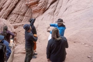 Cafayate: Full-day tour of wineries and wine tasting