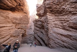 Cafayate: Full-day tour of wineries and wine tasting