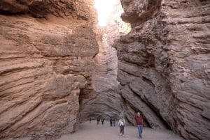 Cafayate: Full-day tour of wineries and wine tasting