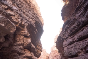 Cafayate: Full-day tour of wineries and wine tasting